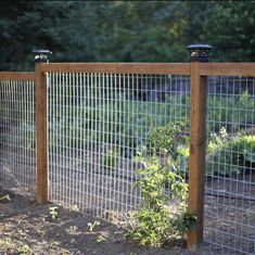 the fence is made of wood and wire with two lights on each side of it