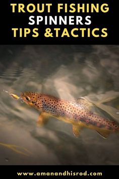 a brown fish floating on top of water with the words trout fishing spinners tips and tricks