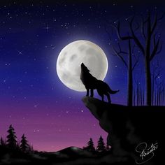 a wolf standing on top of a hill at night with the moon in the background