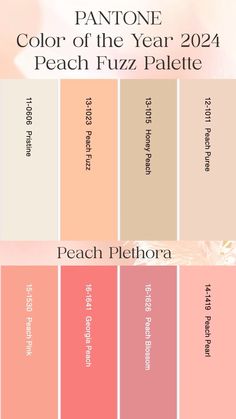 the pantone color of the year peach fizz palette