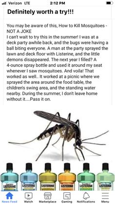 an image of a mosquito with many different types of bottles in front of it and the caption that says,