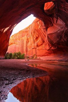 the golden cathedral is a unique hiking destination within lower ne canyon