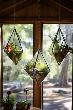 three hanging planters filled with succulents and plants