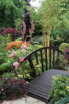 a wooden bench sitting in the middle of a garden filled with lots of flowers and plants