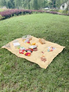 a picnic blanket with food on it in the grass