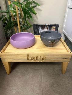 a wooden table with two bowls on it and a plant in the corner next to it