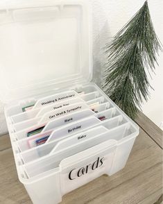 a plastic storage box filled with cards next to a pine tree