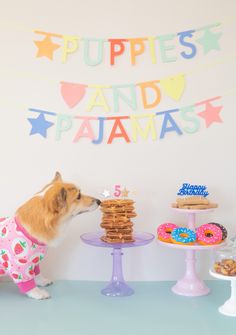 a dog in pajamas standing next to a table with cakes and donuts on it