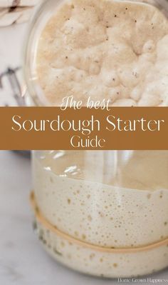 the best sourdough starter guide in a mason jar with text overlay that reads, the best sourdough starter guide