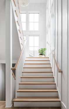 a white staircase with wooden handrails leading up to the second floor and a potted plant on the far wall