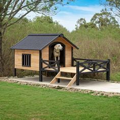 a dog house that is in the middle of some grass with stairs leading up to it