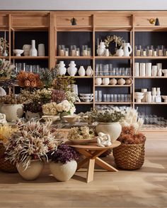 a room filled with lots of different types of flowers and plants in vases on shelves