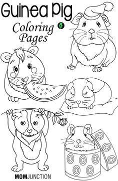 guinea pig coloring pages for kids and adults with pictures of the animals in their home