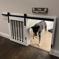 a dog is standing in the door to his house