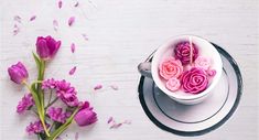 pink flowers in a white cup and saucer on a table with petals scattered around