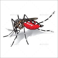 a mosquito on white background - animals characters