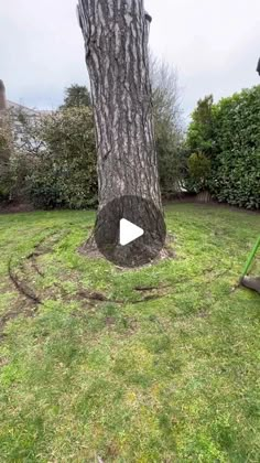 a man is using a lawn mower to cut the grass in front of a tree