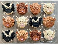 twelve cupcakes decorated to look like cows in the shape of heads with horns