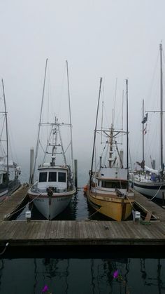 three boats are docked at a dock in the fog