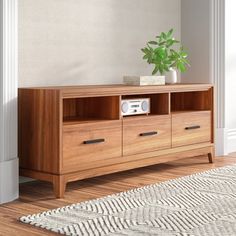 a wooden entertainment center with two drawers and a potted plant on top