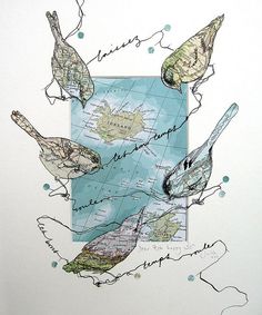 three birds sitting on top of a map