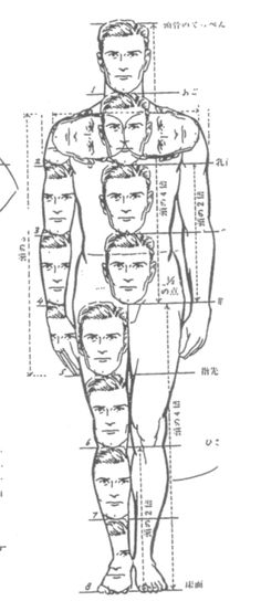 diagram of the human body with labels