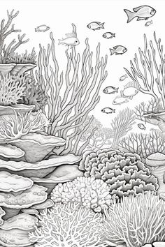 an underwater scene with corals, fish and other marine life in black and white