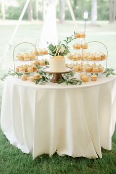 a table topped with lots of cupcakes on top of a lush green field