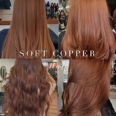 Copper Dye On Brown Hair, Warm Autumn Hair Color Palette, Soft Autumn Best Hair Color, Spring Palette Hair Color, Old Money Auburn Hair, Autumn 2024 Hair Colour, Going From Red To Brown Hair, Soft Copper Brown Hair, Red Hair For Soft Autumn