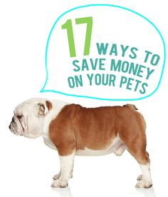 a brown and white dog standing in front of a speech bubble with the words 17 ways to save money on your pets