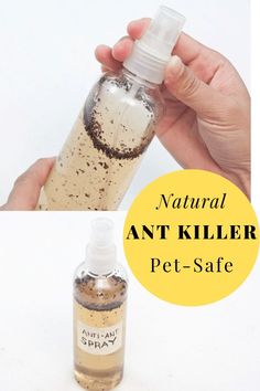 a hand holding a bottle filled with pet - safe natural ant killer spray and the words natural ant killer on it