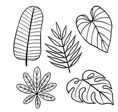 four different types of leaves are shown in this black and white drawing technique, which is easy to draw