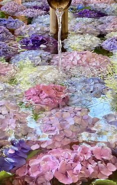 water pouring from a faucet into a garden filled with purple and pink flowers