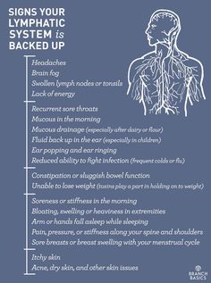 Branch Basics, Lymph System, Lymph Drainage, Lymph Nodes, Liver Detox, Missing Link, Detox Cleanse, Detox Smoothie