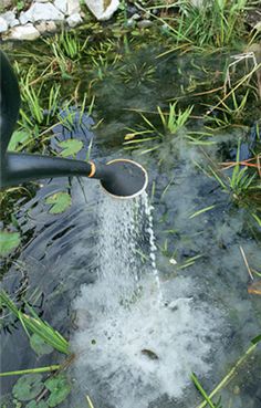 a pipe leaking water into a pond filled with grass