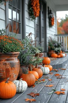 several pumpkins are lined up on the porch