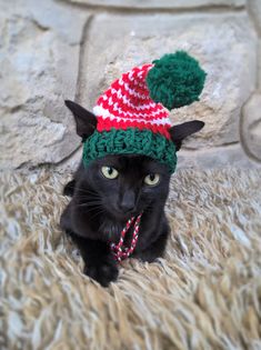 a black cat wearing a green and red knitted hat