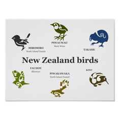 the new zealand birds logo is shown