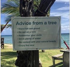 a sign is posted on a tree near the beach