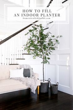 a white couch sitting under a stair case next to a tree in a living room