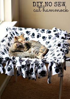 a cat laying on top of a dog bed with paw prints and saying diy no sew cat hammock