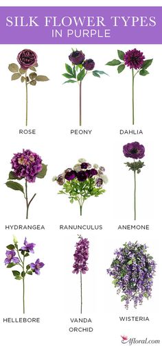 different types of flowers that are purple and white with the words silk flower types in purple