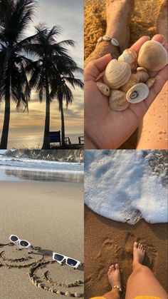 there is a collage of pictures with shells in the sand and palm trees on the beach