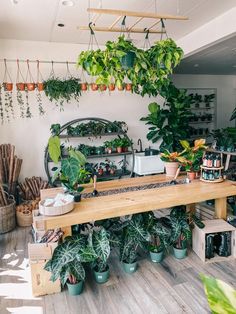 a room filled with lots of potted plants and greenery on the wall next to a wooden table