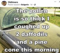 a car that is parked in front of a house with the words, the pollen is so thick i coughed up 2 daffodils and a pine cone this morning