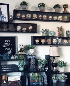 there are many shelves that have plants and skulls on them, along with other items