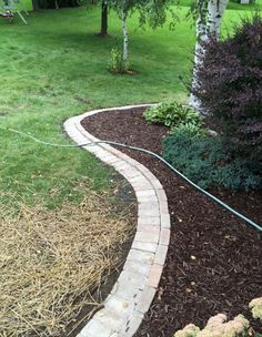 a garden path in the middle of some grass and mulch with trees behind it