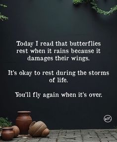 there is a quote on the wall that says today i read that butterflies rest when it rains because it damages their wings