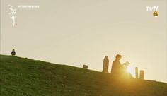 a person sitting on top of a hill reading a book