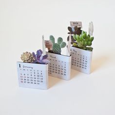 three small calendars with succulent plants in them